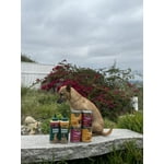 Image 2 of customer photos