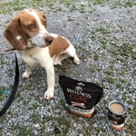 Image 3 of customer photos