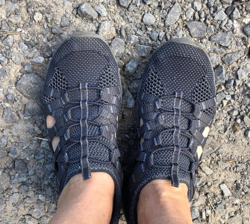 skechers reggae fest neap