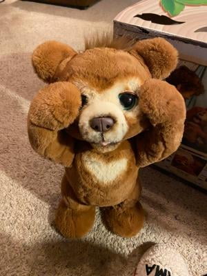 furReal Cubby the Curious Bear Interactive Plush Toy - Walmart.ca