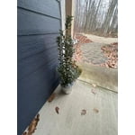 Image 4 of customer photos