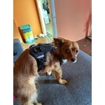 Image 5 of customer photos