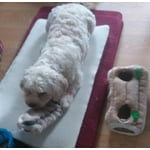 Image 6 of customer photos