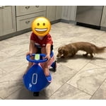 Image 1 of customer photos