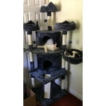 Image 7 of customer photos