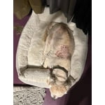 Image 2 of customer photos