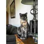 Image 7 of customer photos