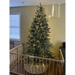 Image 7 of customer photos