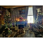 Image 5 of customer photos