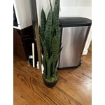 Image 4 of customer photos