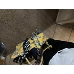 Image 4 of customer photos