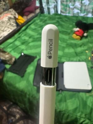 Apple Pencil (USB-C) - Walmart.ca