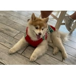 Image 4 of customer photos