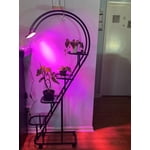 Image 4 of customer photos