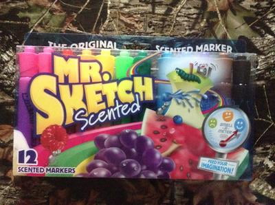 New MR. SKETCH 12 Count SCENTED Markers Original Smelly Drawing Kids Craft  Strawberry Cherry Mint Cinnamon Smells Sniff Gift Rainbow Pack 