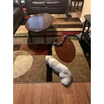 Image 3 of customer photos