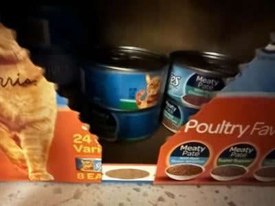 Customer reviews for 9Lives Seafood and Poultry Favorites Variety Pack Wet  Cat Food, 24 5.5-Ounce Cans | Walmart.com