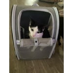 Image 6 of customer photos