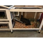 Image 3 of customer photos