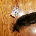 Image 4 of customer photos