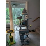 Image 7 of customer photos