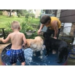 Image 2 of customer photos