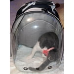 Image 2 of customer photos