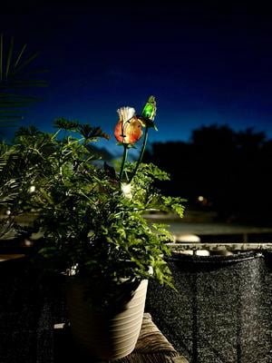 Better Homes & Gardens Solar LED Blue Hibiscus Stake Light Outdoor