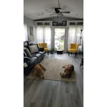 Image 7 of customer photos