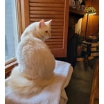 Image 3 of customer photos