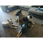 Image 6 of customer photos