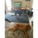 Image 3 of customer photos