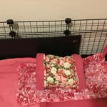 Image 4 of customer photos