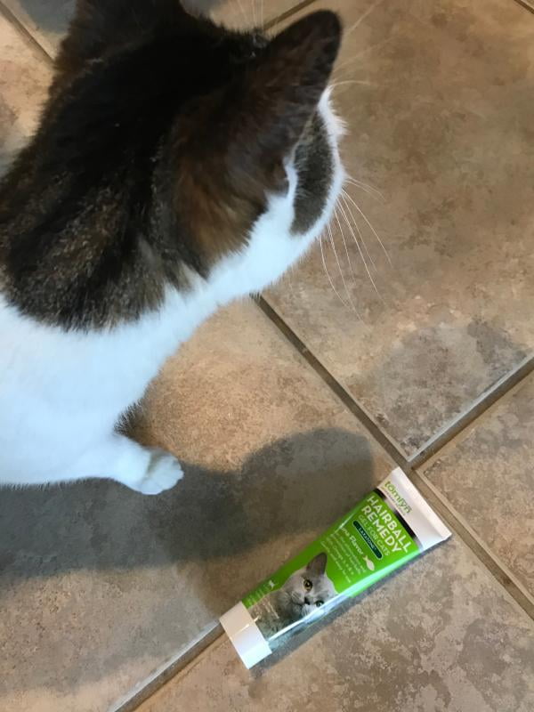 hairball medicine for cats walmart