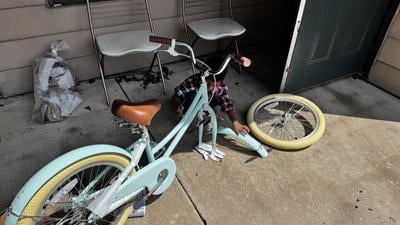 Customer reviews for Glerc Little Molly 20 inch Kids Girls Bike