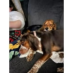 Image 3 of customer photos