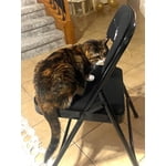 Image 5 of customer photos