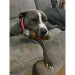 Image 2 of customer photos