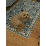 Image 4 of customer photos