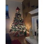 Image 3 of customer photos