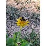 Imagen 3 de las fotos del cliente