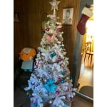 Image 7 of customer photos