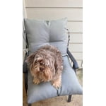 Image 2 of customer photos