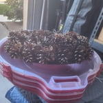 Image 5 of customer photos