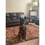 Image 5 of customer photos