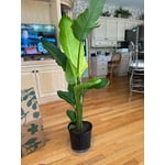 Image 7 of customer photos