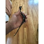 Image 6 of customer photos