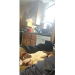 Image 3 of customer photos