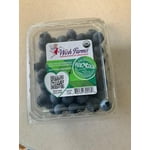 Fresh Blueberries, 18 oz Container
