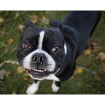 Image 7 of customer photos